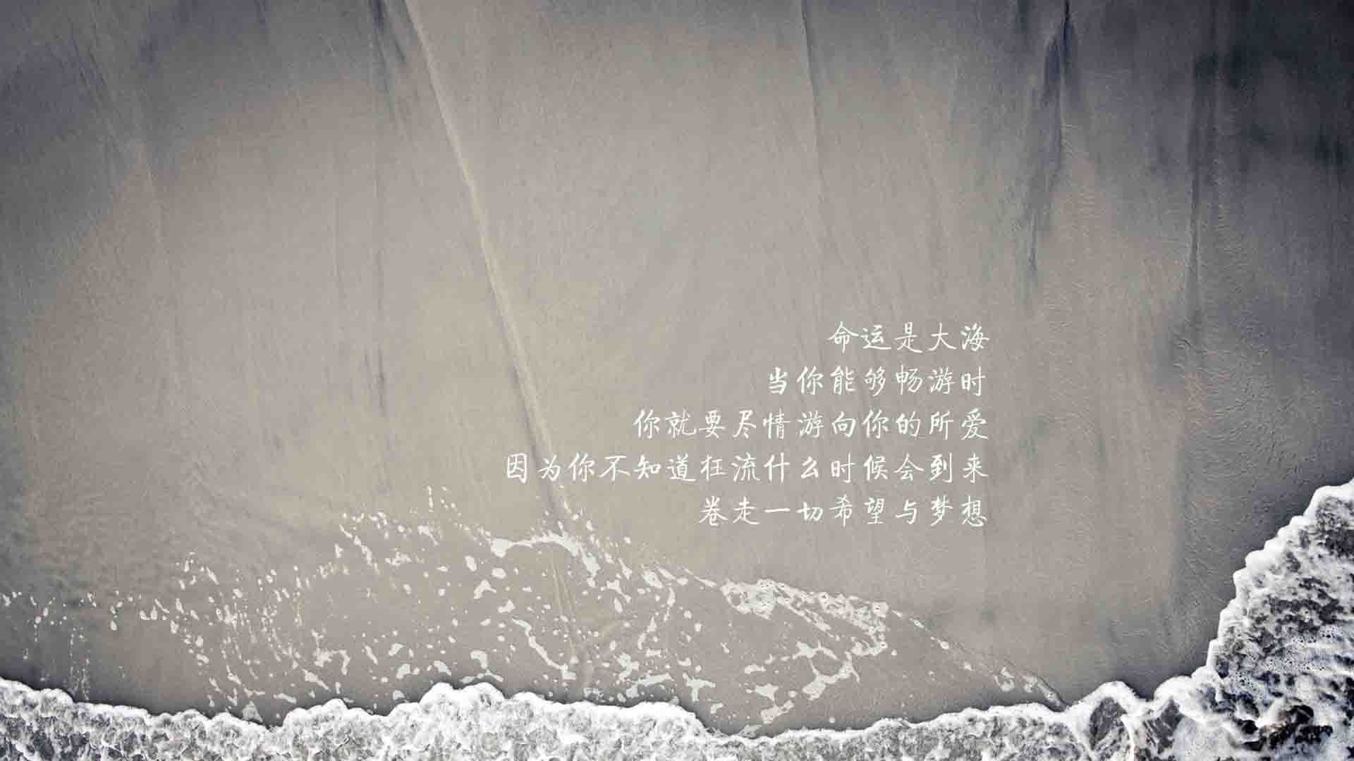 fb体育网站-山东泰山新援首秀亮眼，山东泰山2021引援