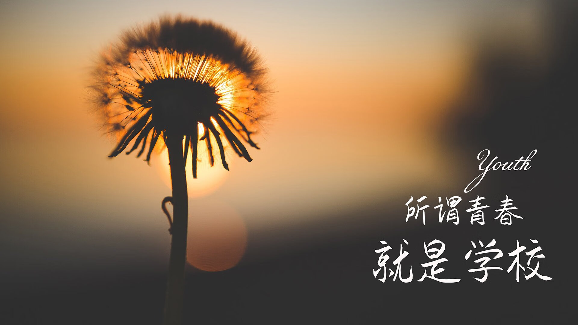 fb体育投注-“电动冲浪：2025世界运动会带来马鞍山赛场的全新水上体验”