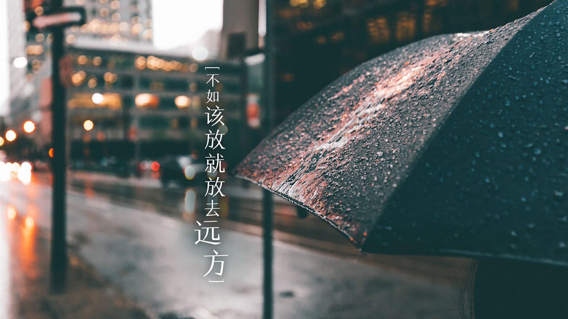 凯尔特人晒训练趣图暖化球迷心，凯尔特人cousy