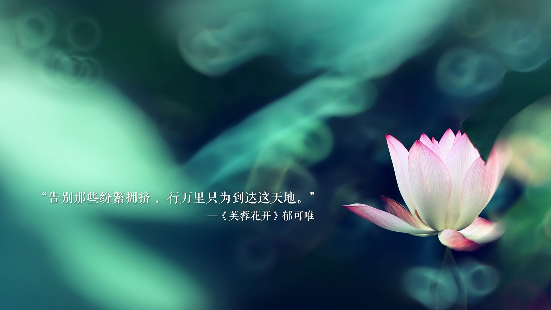 fb体育登录入口-英超最后一击：绝杀镜头火爆全场！，英超最后一轮看点